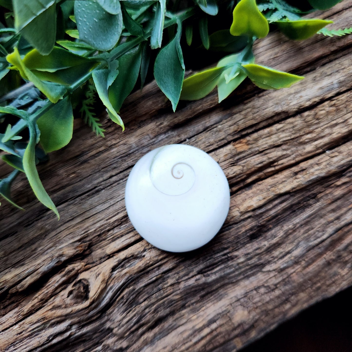 Galet en Œil de Sainte-Lucie